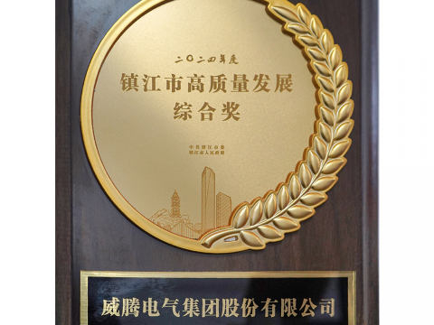 喜讯│乐虎国际lehu电气集团股份有限公司荣获2024年度镇江市高质量发展综合奖