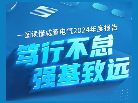 一图读懂乐虎国际lehu电气2024年度报告